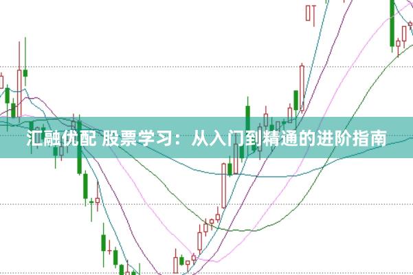 汇融优配 股票学习：从入门到精通的进阶指南