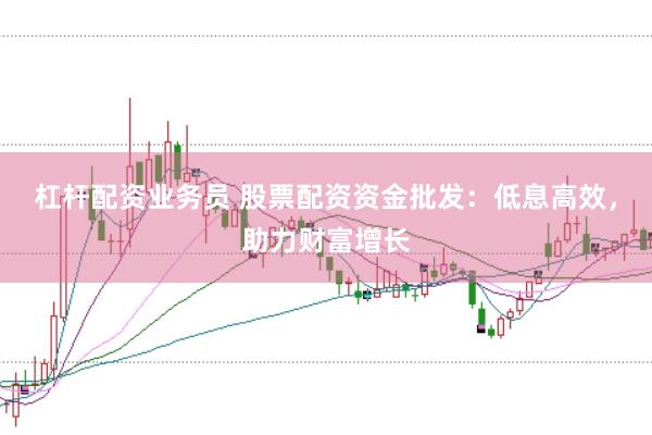 杠杆配资业务员 股票配资资金批发：低息高效，助力财富增长