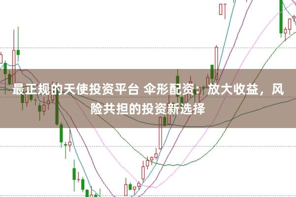 最正规的天使投资平台 伞形配资:放大收益,风险共担的投资新选择