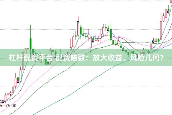 杠杆配资平台 配资陪数:放大收益,风险几何?
