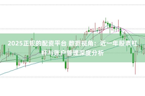 2025正规的配资平台 数据视角:近一年股票杠杆与账户管理深度分析